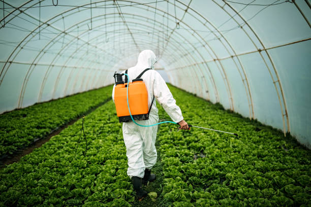 Best Pest Control Near Me  in Gibbstown, NJ