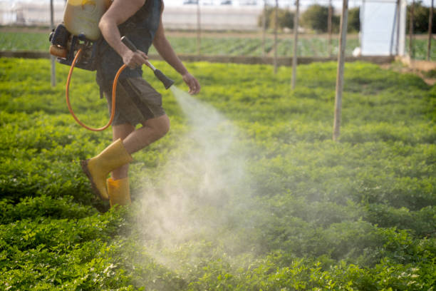 Best Affordable Pest Control Services  in Gibbstown, NJ