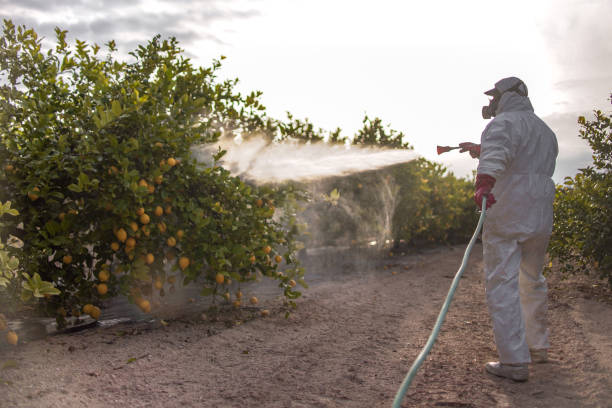 Best Pest Inspection Near Me  in Gibbstown, NJ